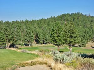 Silvies (Craddock) 7th Tee